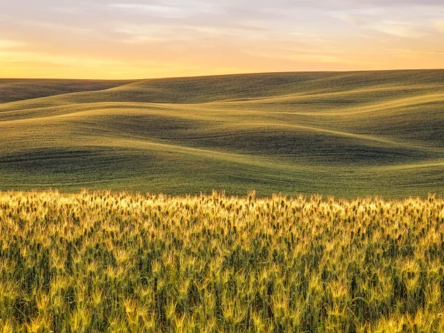 природа, красота