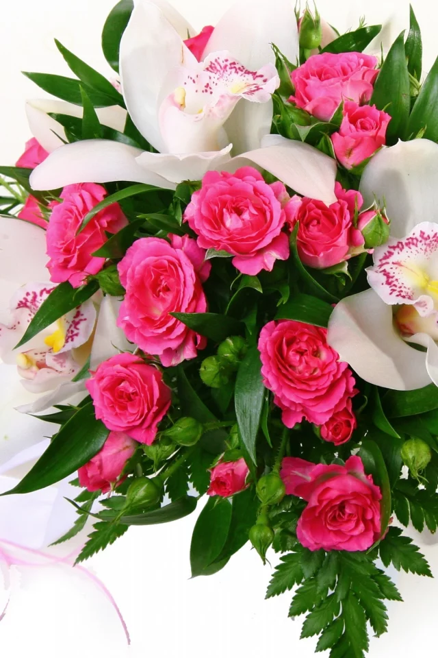 bouquets, розы, орхидеи, orchid, розовые, букет, roses