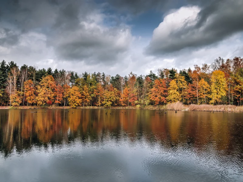 природа, красота