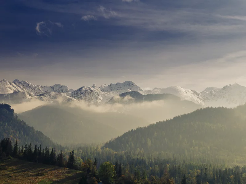 природа, красота