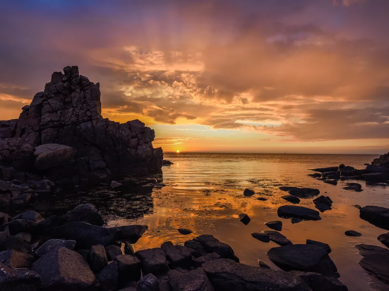 природа, красота
