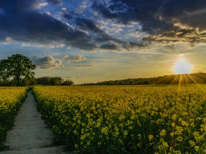 природа, красота