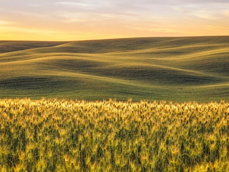 природа, красота