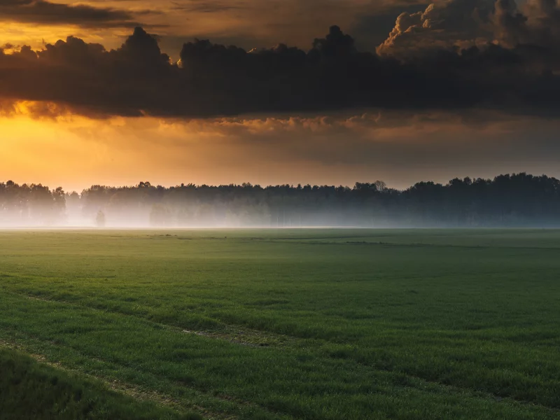 природа, красота