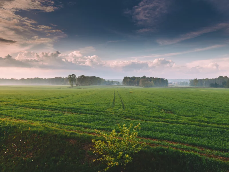 природа, красота