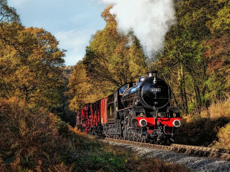 паровоз, engine, locomotive, steam locomotive, railway, black, old, retro, road, smoke, forest, front, trees, see, sun, summer, nice, wide