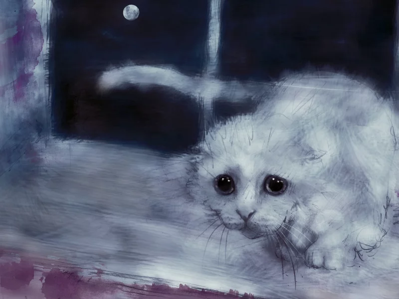 кошка, киса, кот