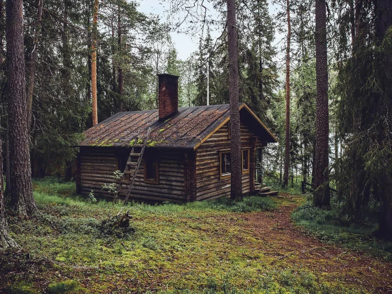 лес, дом, forest, house, trees, river, sunrise, grass, green, fence, leaves, mist, moss, morning, trees, forest, fallen, park, green, nature, landscapes, trees, forest, trail, woods, leaves, sunrise, see, sun, dark, summer, wide