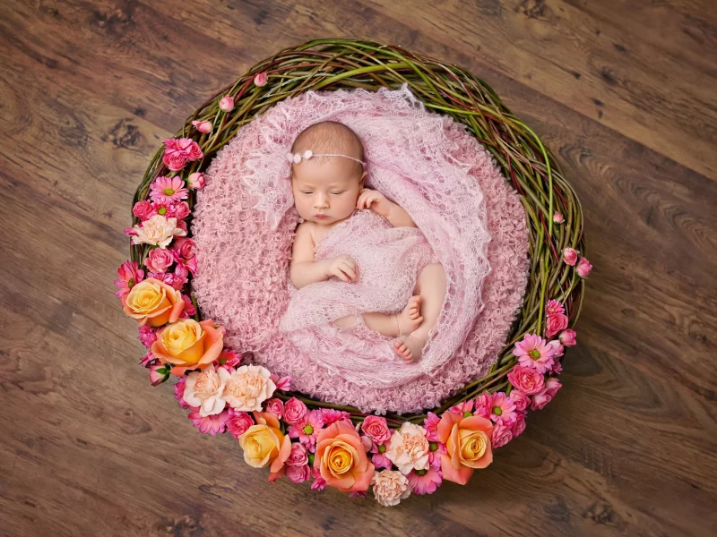 корзина, младенец, wicker, infants, basket, цветы