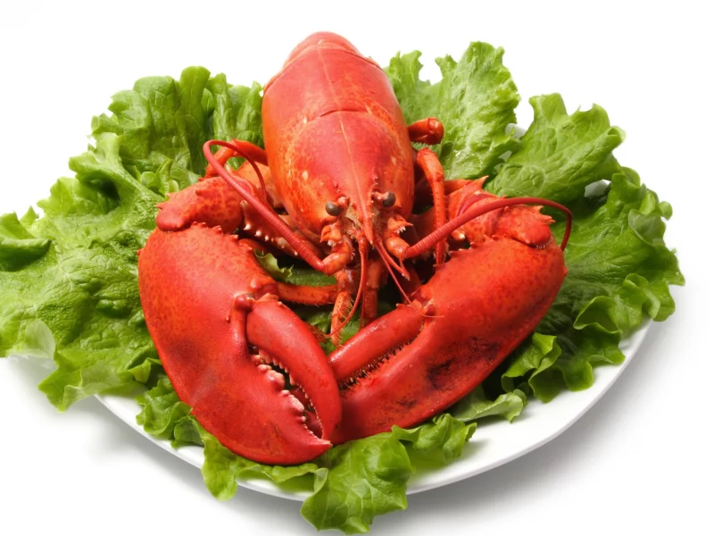 seafood, салат, морепродукт, листья, омар, клешни