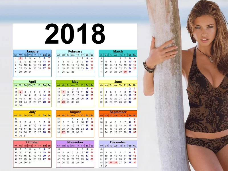 девушка, пляж, календарь, 2018, girl, beach, calendar, eng, light brown, swimsuit, dark, front, short, sun, solar, sea, sand, white, see, lips, eyes, nice, sky, wide