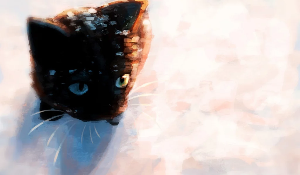 снег, котенок