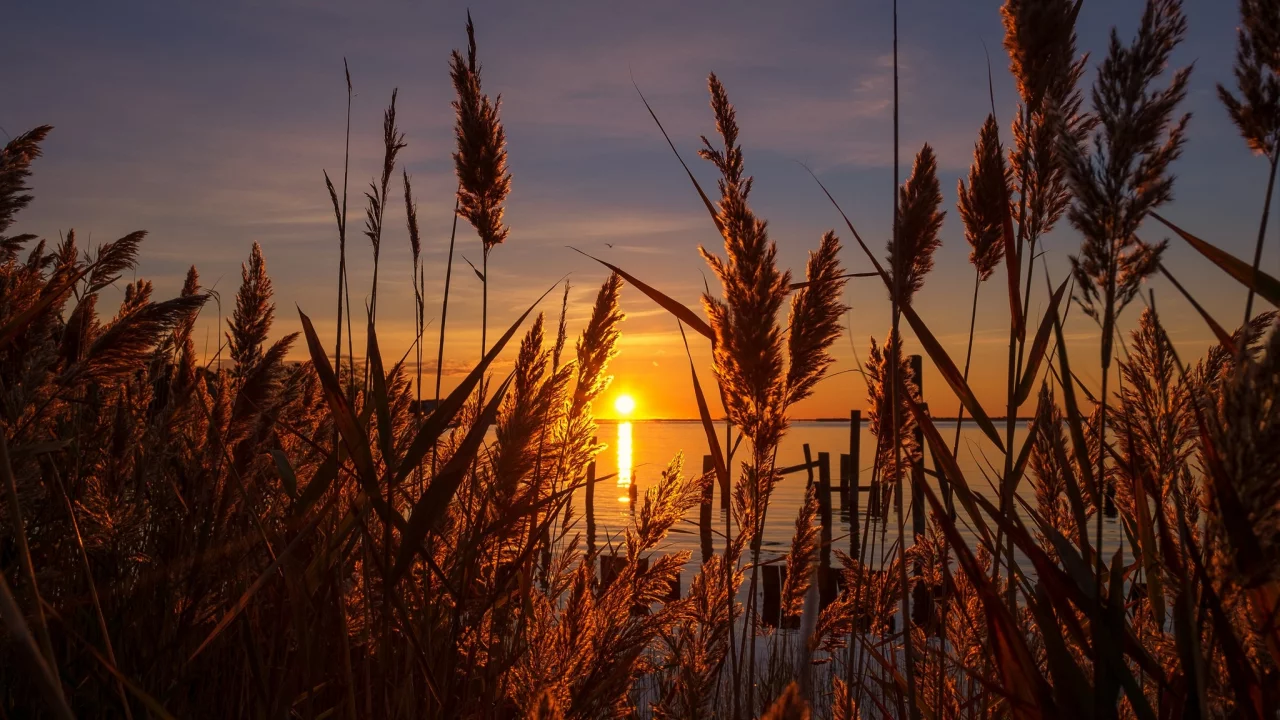 природа, красота