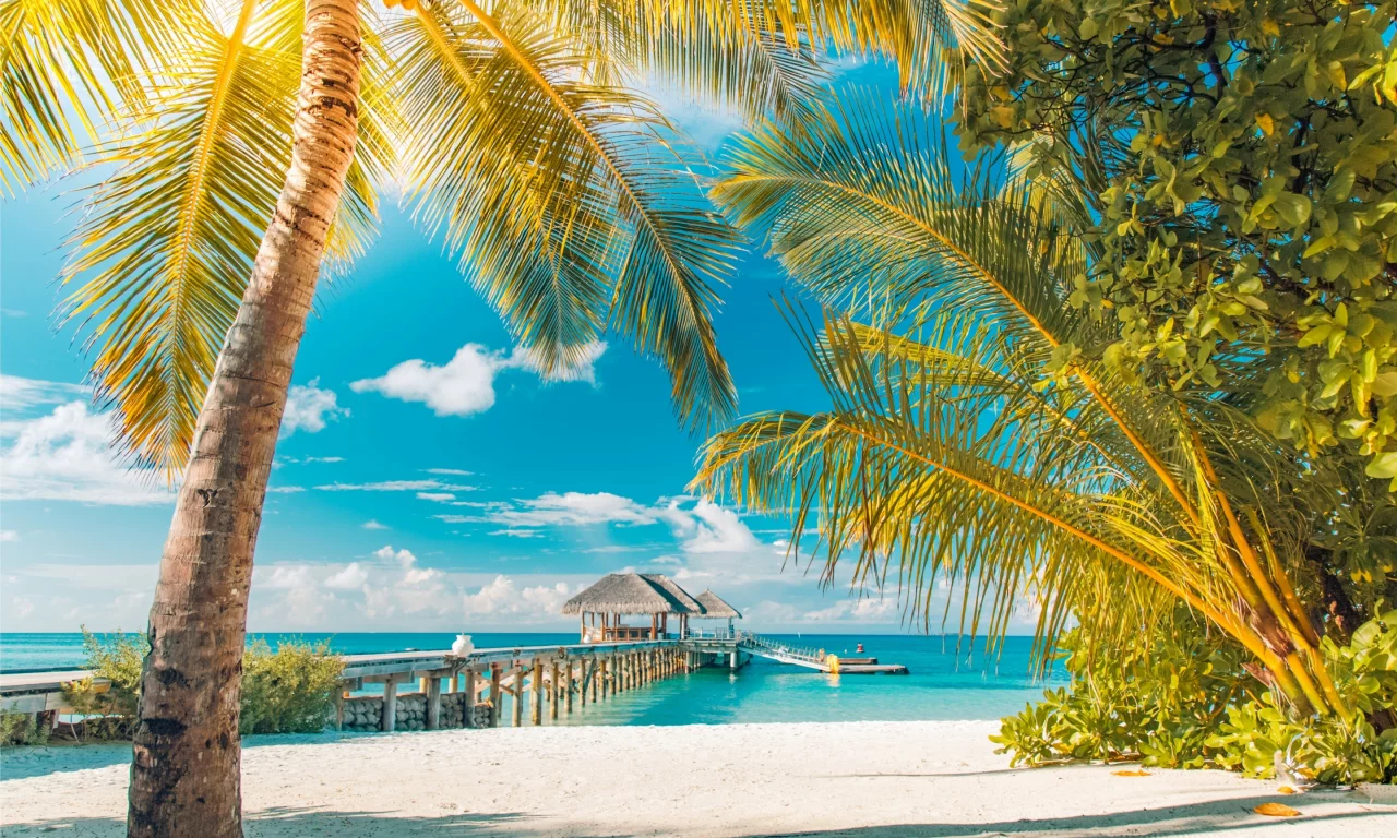 солнце, tropical, summer, пляж, sand, море, песок, sea, beach, palms, берег, island, paradise, пальмы