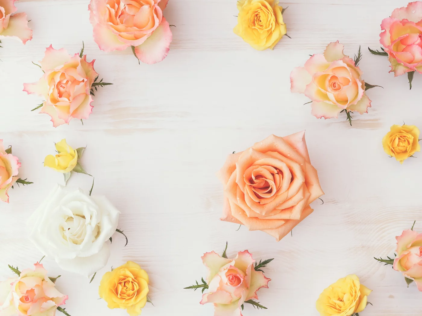 roses, flowers, wood