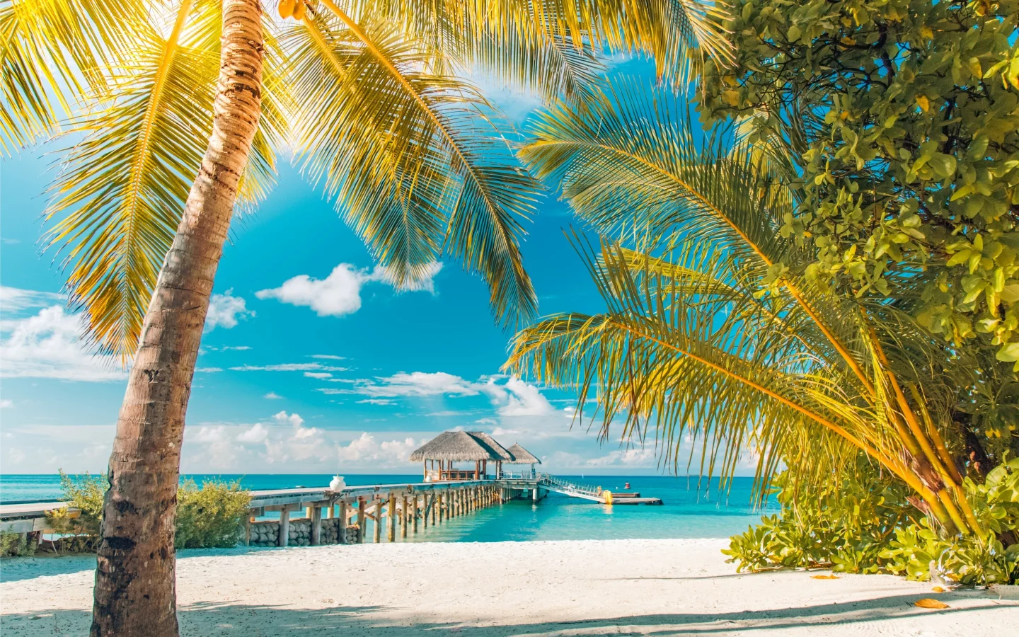 солнце, tropical, summer, пляж, sand, море, песок, sea, beach, palms, берег, island, paradise, пальмы