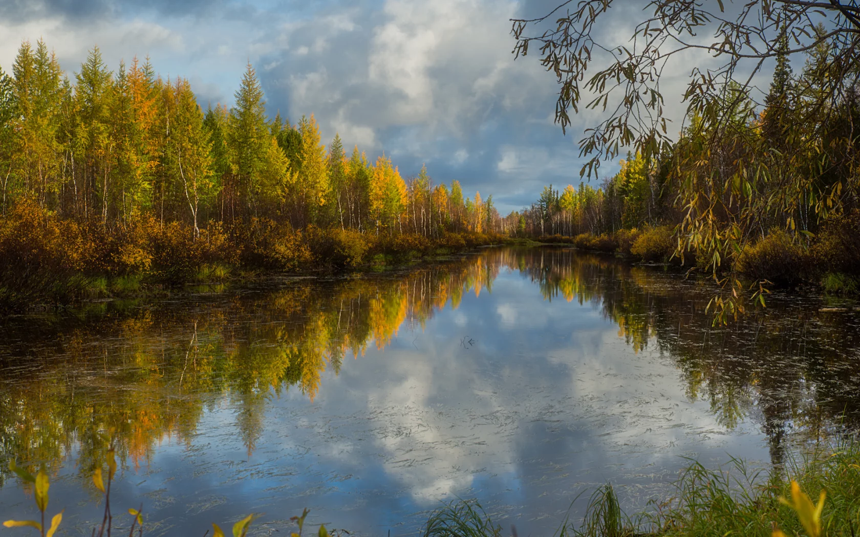 отражение, трава, деревья, кусты, озеро, вода, облака, ветки, осень, лес