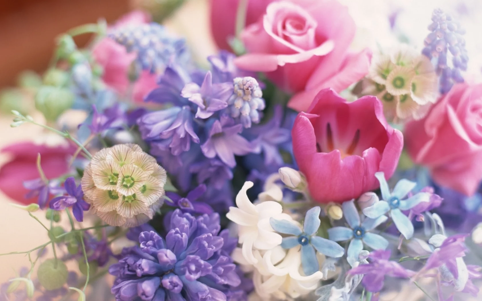 spring, flowers, bouquet