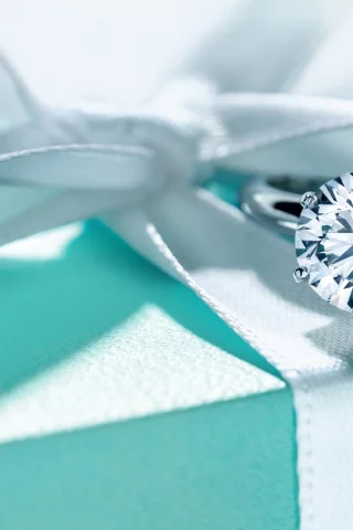 tiffanyandco, ring, jewel