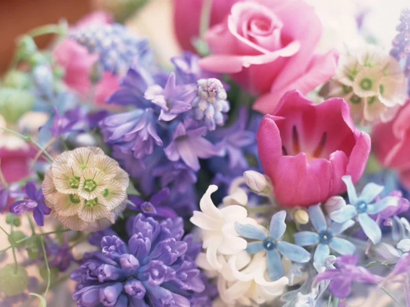 spring, flowers, bouquet