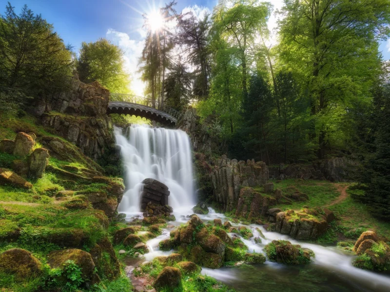 природа, красота