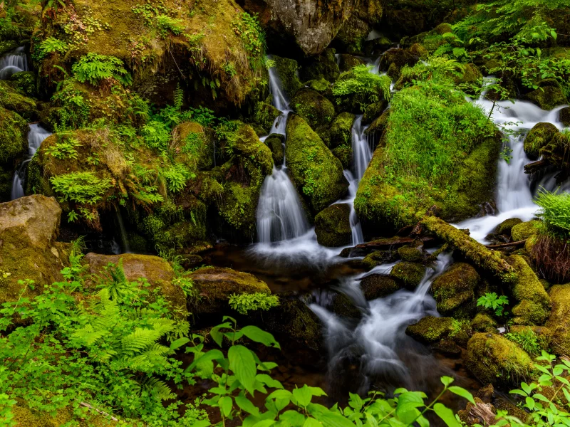 природа, красота