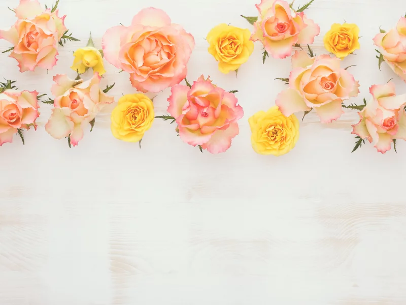 roses, flowers, wood2