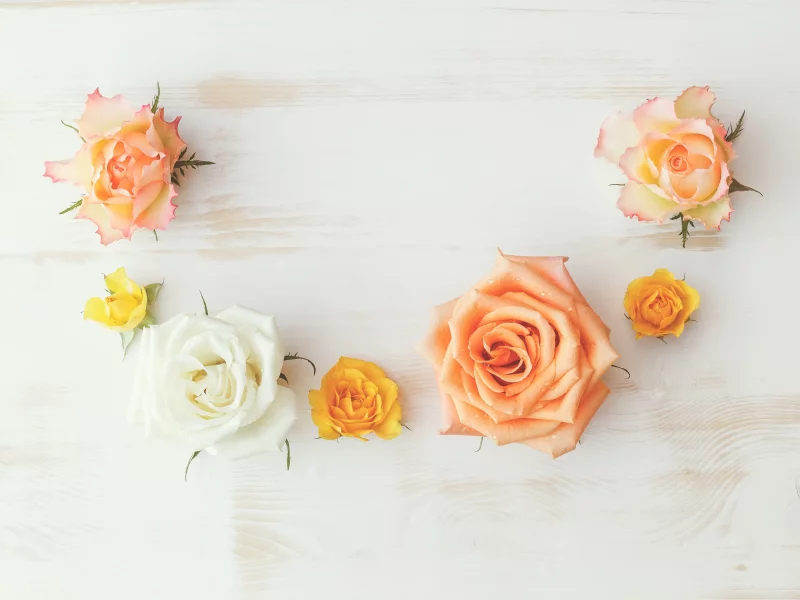 rose, flowers, wood