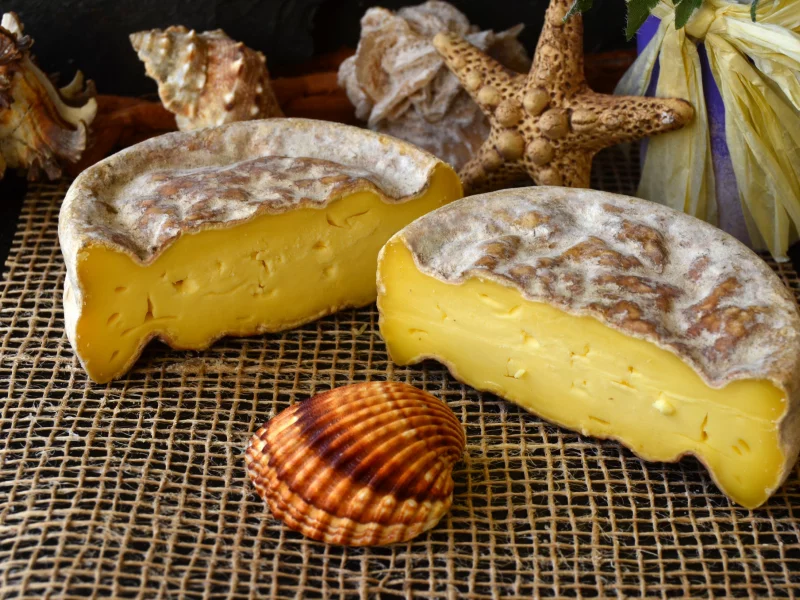 сыр, ракушки