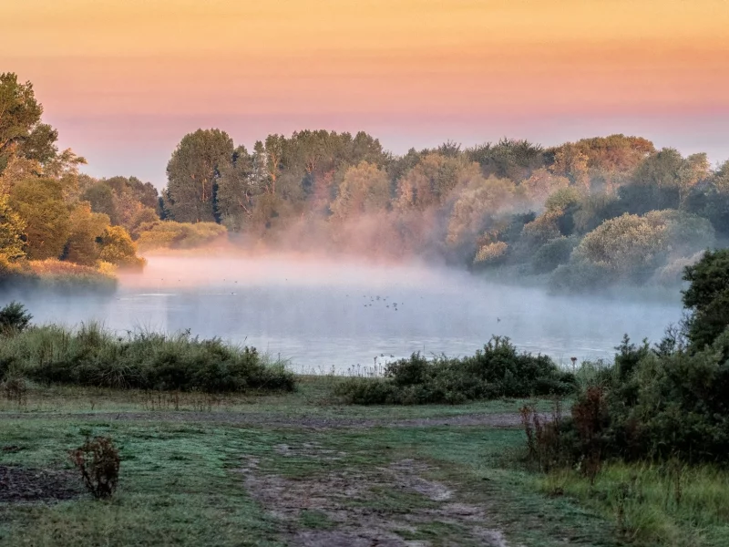 природа, красота