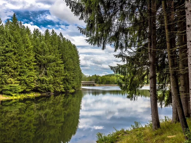природа, красота