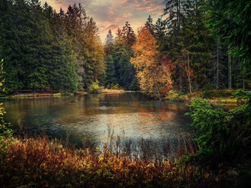 природа, красота