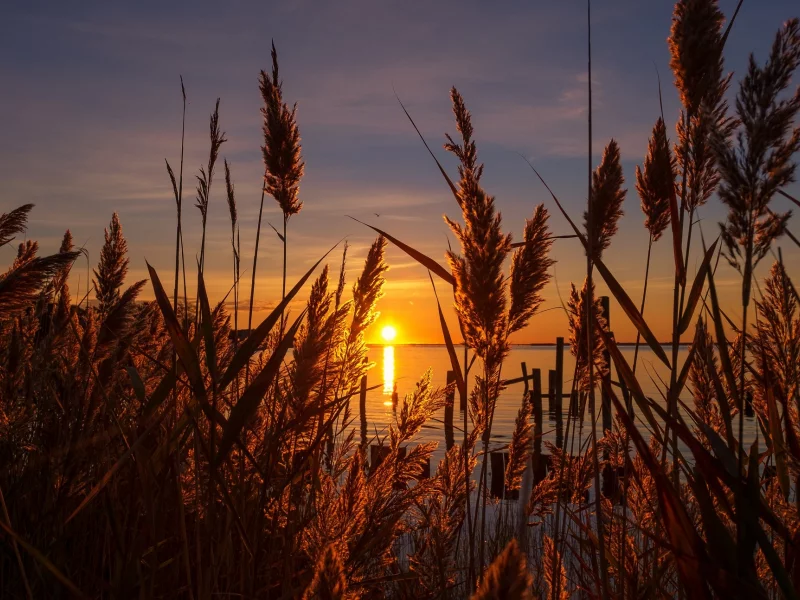 природа, красота