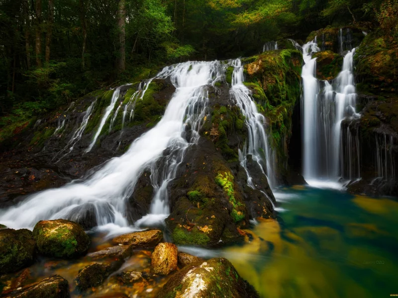 природа, красота