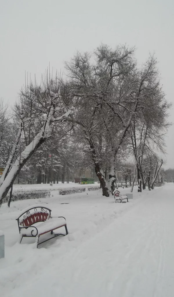 зима, пришла