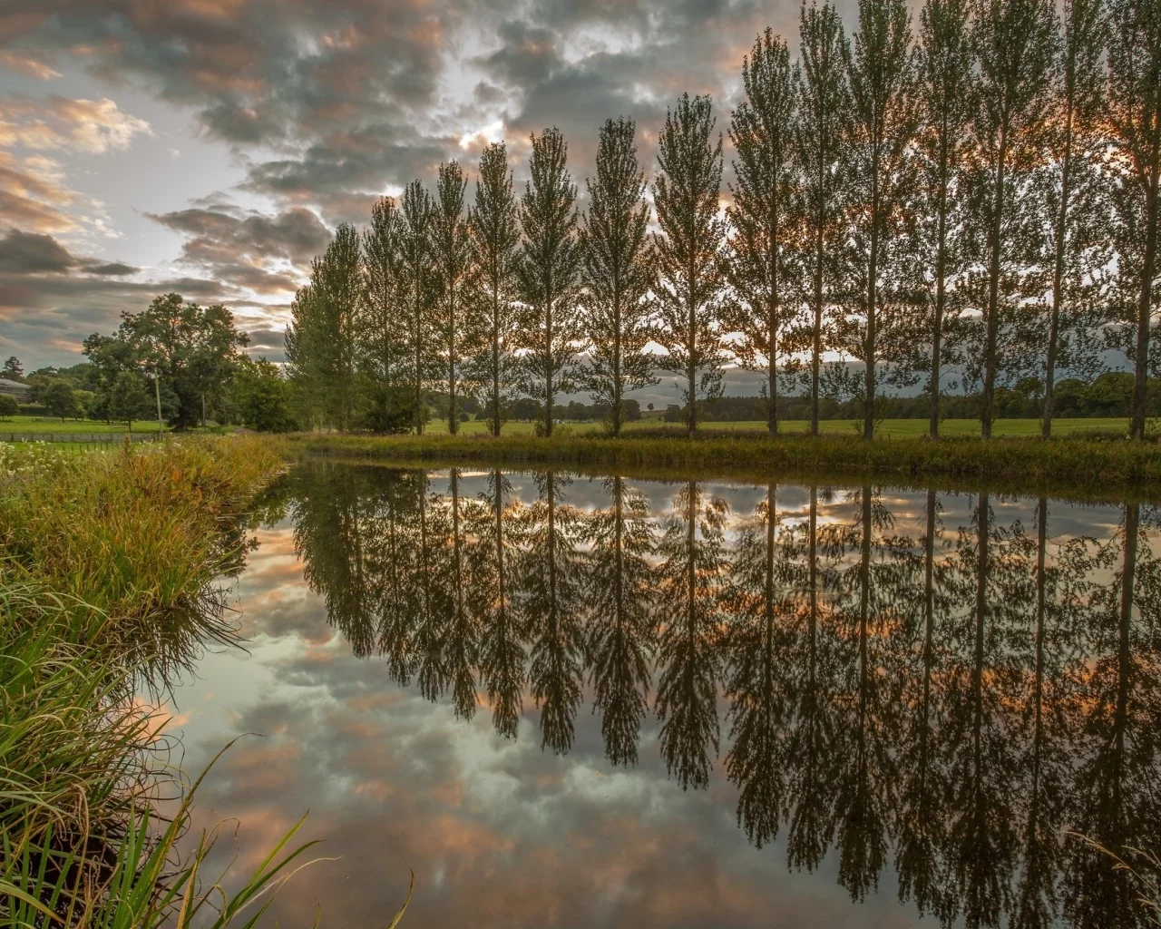 природа, красота