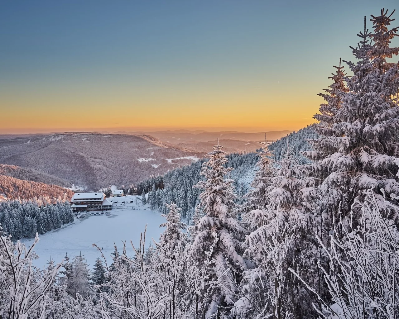 природа, красота