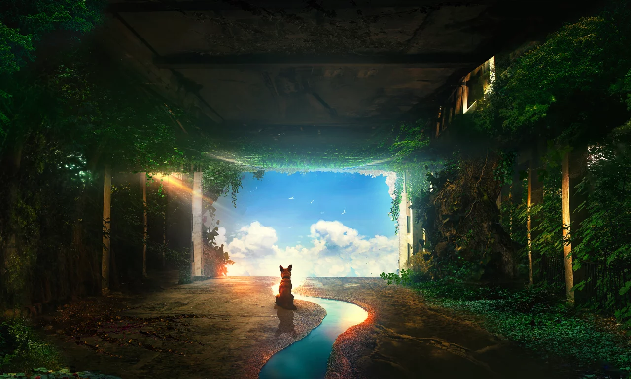 собака, комната, время, планета, космос, dog, room, time, planet, aluren, forest, grass, home, second, nice, space, see, wide