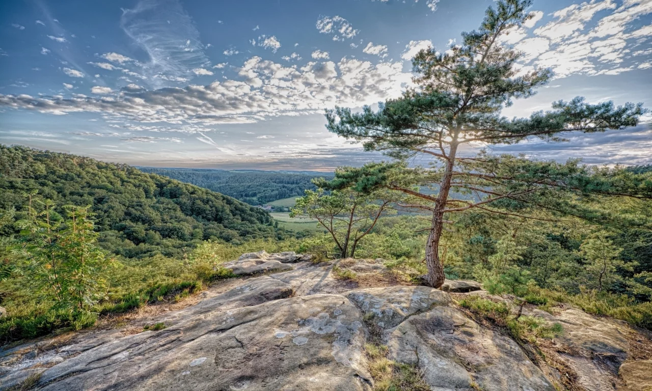 природа, красота