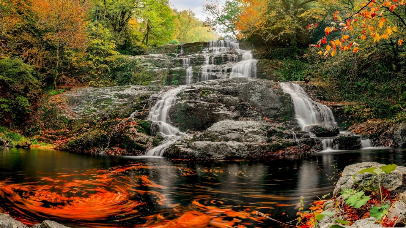 природа, красота
