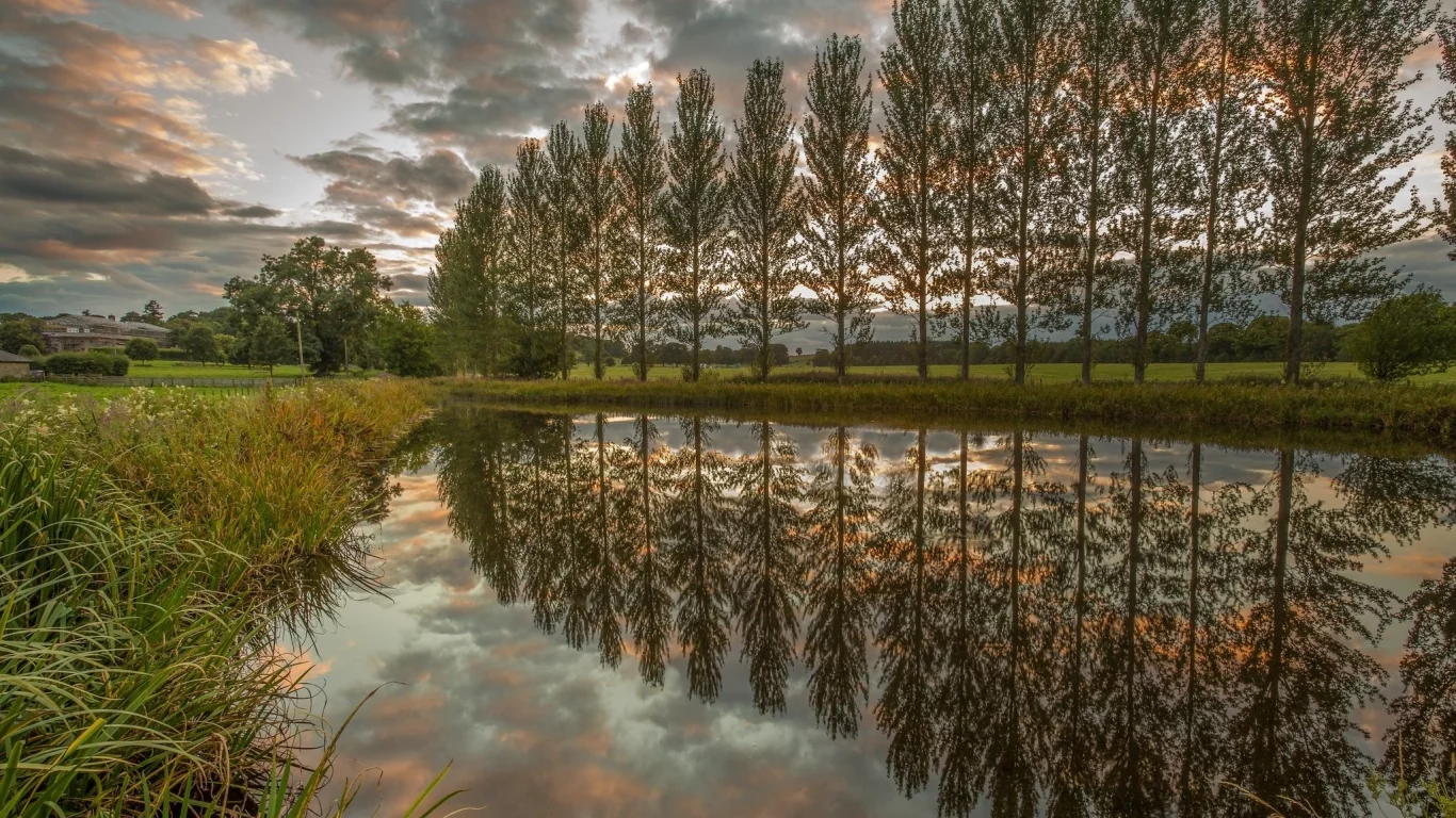природа, красота
