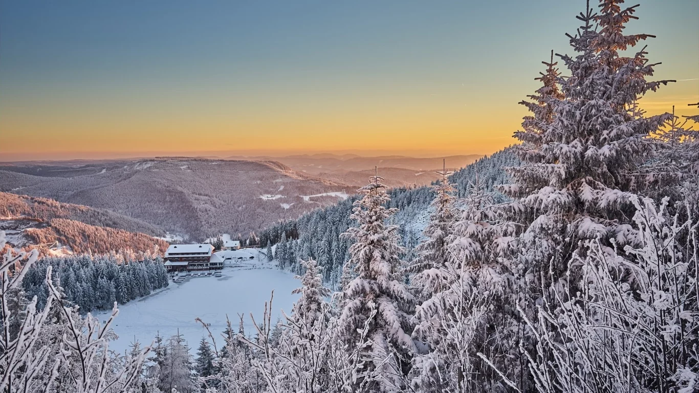 природа, красота
