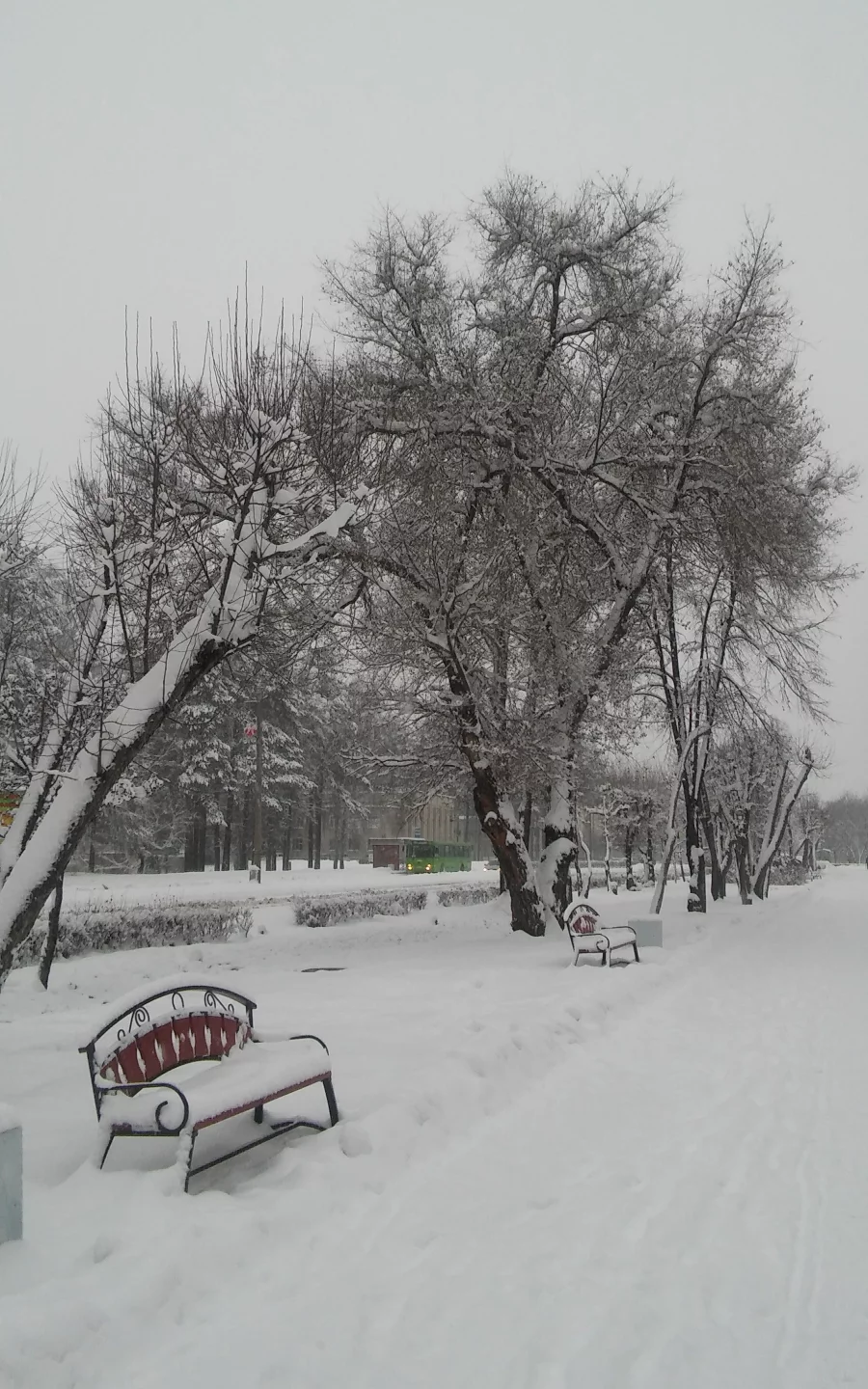 зима, пришла