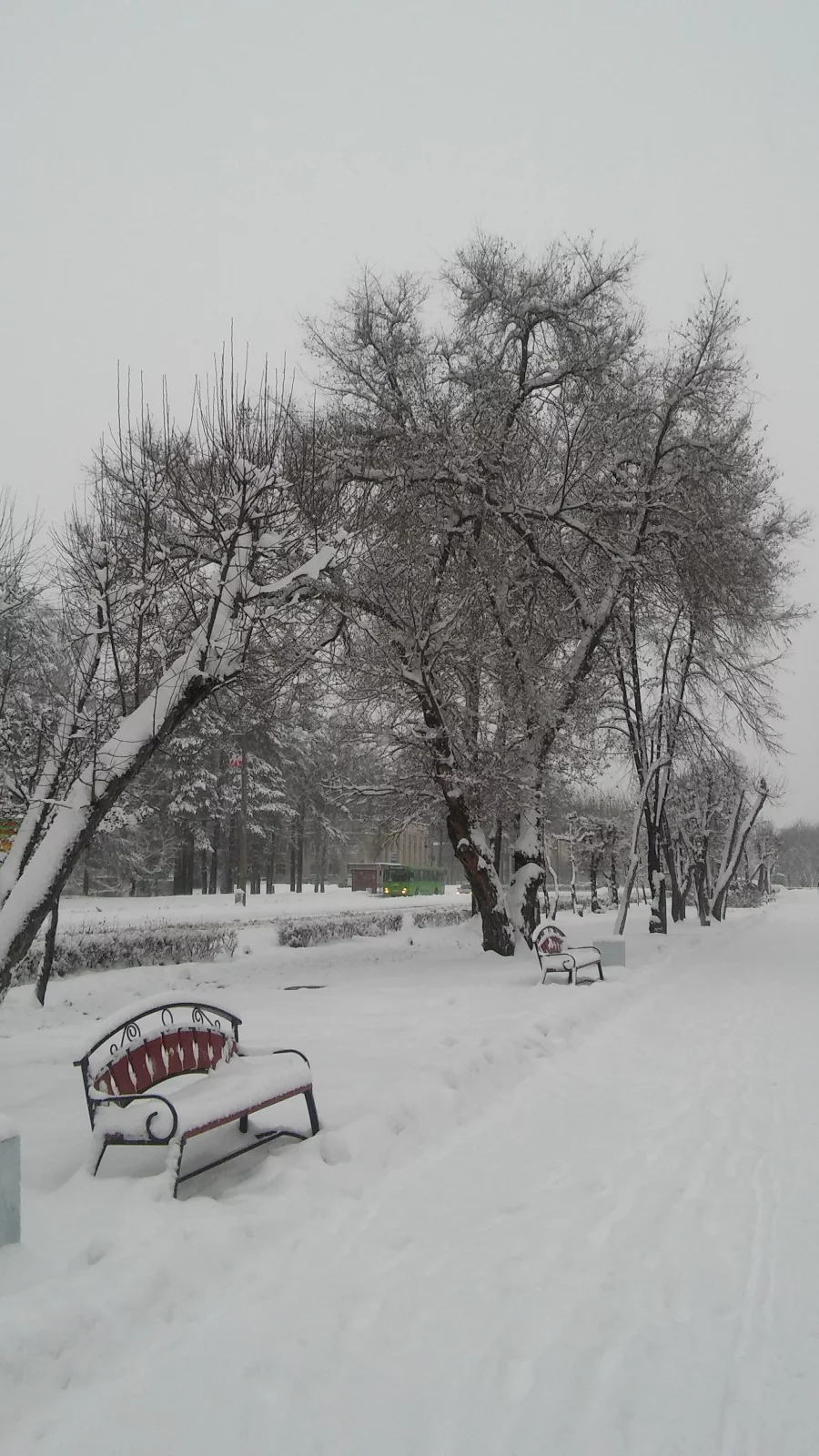 зима, пришла