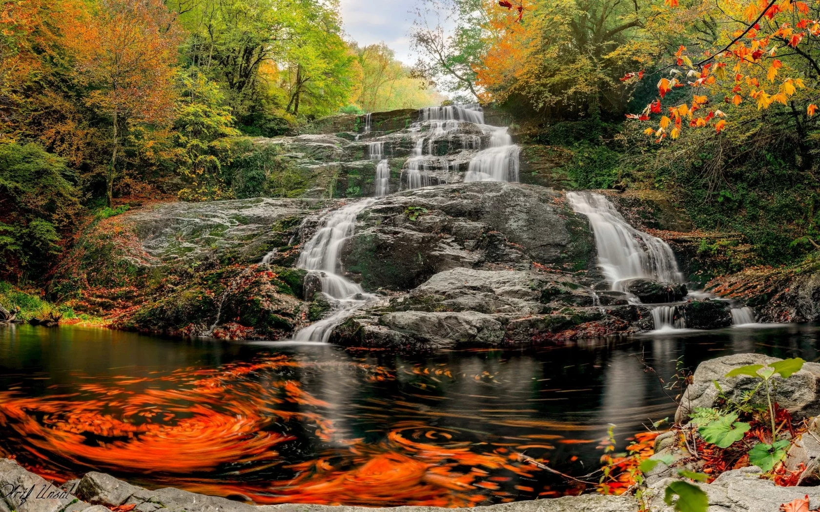 природа, красота