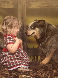 друзья, малышка, забор, удивление, листва, девочка, собака