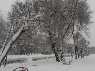 зима, пришла