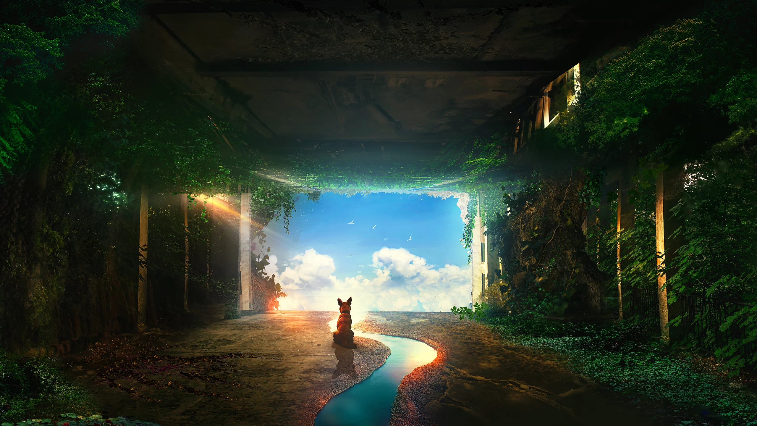 собака, комната, время, планета, космос, dog, room, time, planet, aluren, forest, grass, home, second, nice, space, see, wide