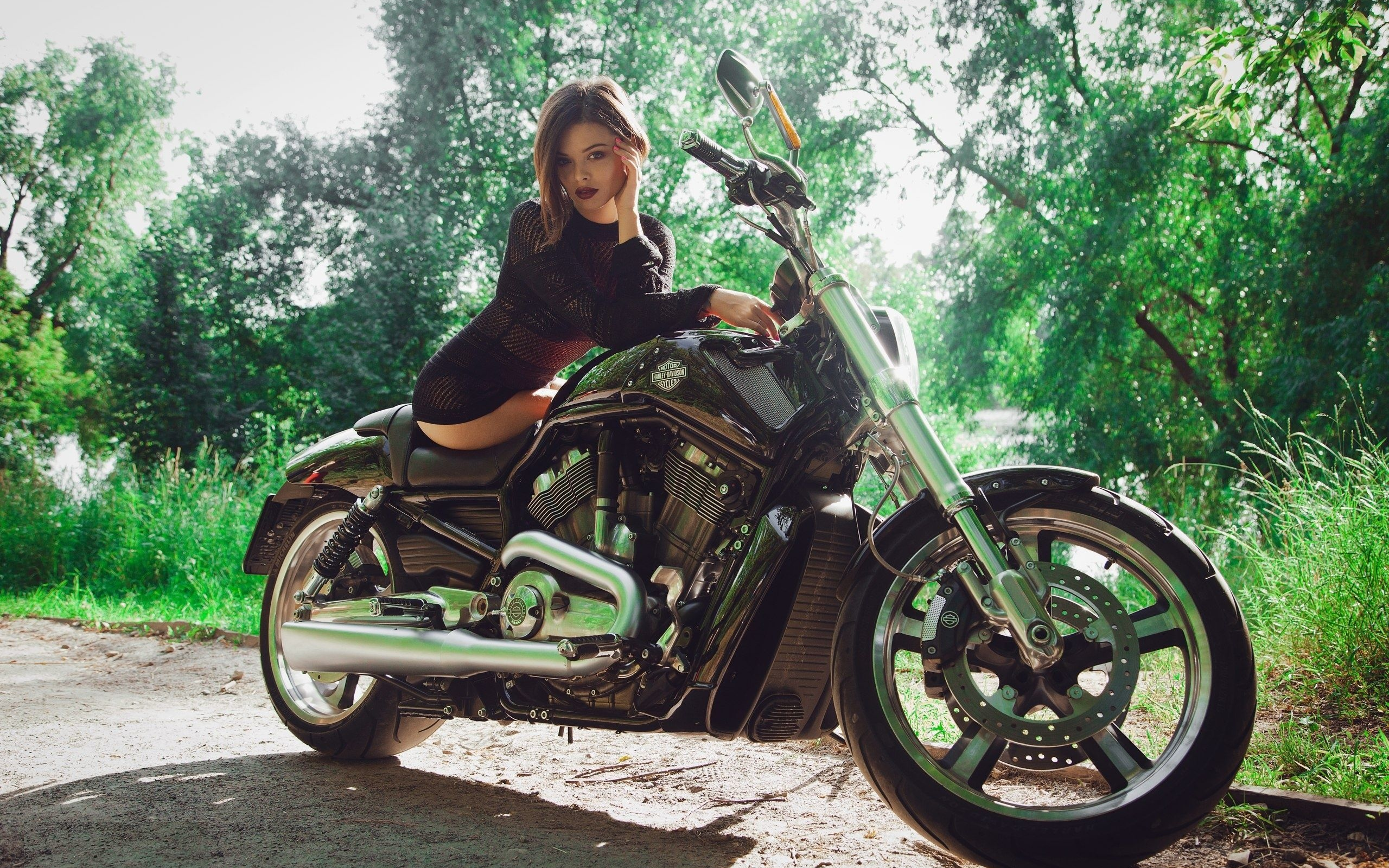 мотоцикл, харли дэвидсон, харли, дэвидсон, харлей, девушка, motorcycle, harleydavidson, harley davidson, harley, davidson, hd, girl, brunette, dress, net, black, day, motorbike, bike, storm, highball, white, see, street, sun, nice, wide