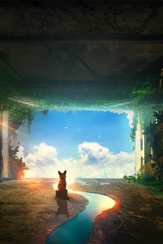 собака, комната, время, планета, космос, dog, room, time, planet, aluren, forest, grass, home, second, nice, space, see, wide